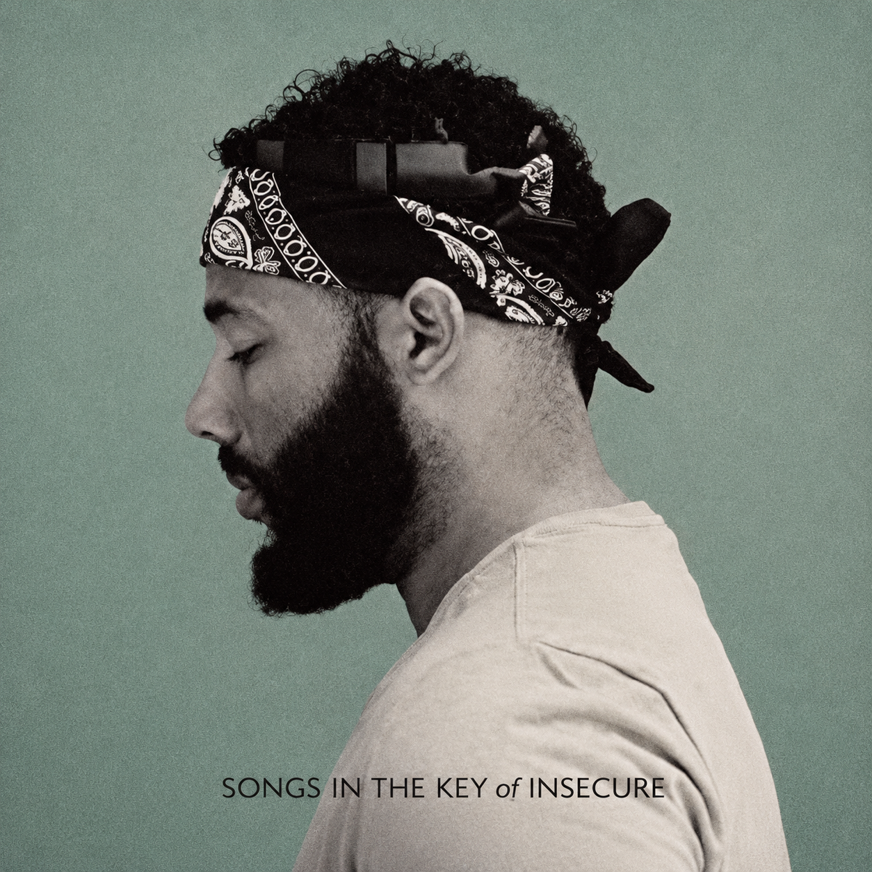 The Lost Songs: Songs in the Key of Insecure Cover